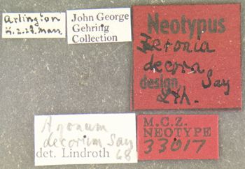 Media type: image;   Entomology 33017 Aspect: labels